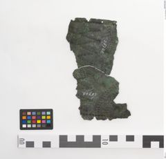Foto von Bronzegürtelblech (NHMW-PRAE-026748)
